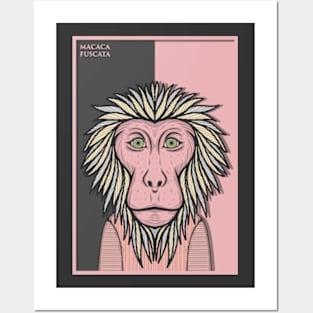 Japanese Macaque Monkey Posters and Art